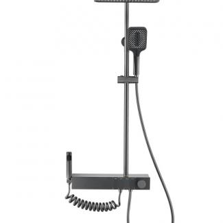 MS6010